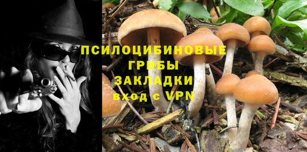 Альфа ПВП Алзамай