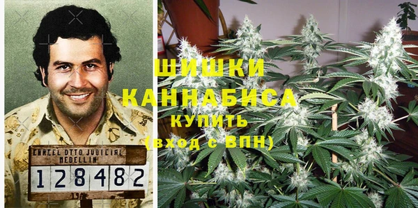 Альфа ПВП Алзамай