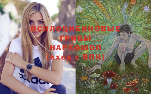 mix Осинники